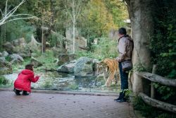 Tiger-Anlage (c) S. Hoeft