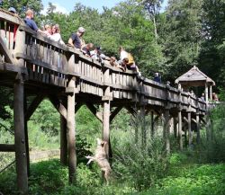 Baumerlebnis&shy;pfad über dem Wolfs&shy;gehege (c) Zoo Eberswalde