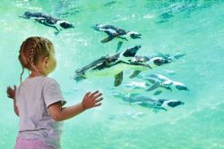 Brillenpinguine (c) ZOOM Erlebniswelt