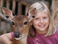 Sika © Zoo Görlitz