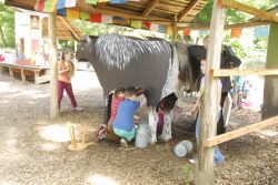 Spielplatz-Melken © Zoo Görlitz