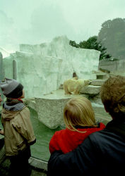 Eisbäranlage (c) Zoo Karlsruhe