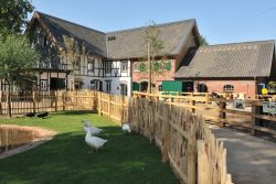 Clemenshof 
(c) Zoo Köln