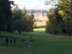 Schlosspark 
(c) WildPark Schloß Tambach