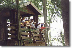 Beobachtung von der Hütte aus (c) Bärenpark